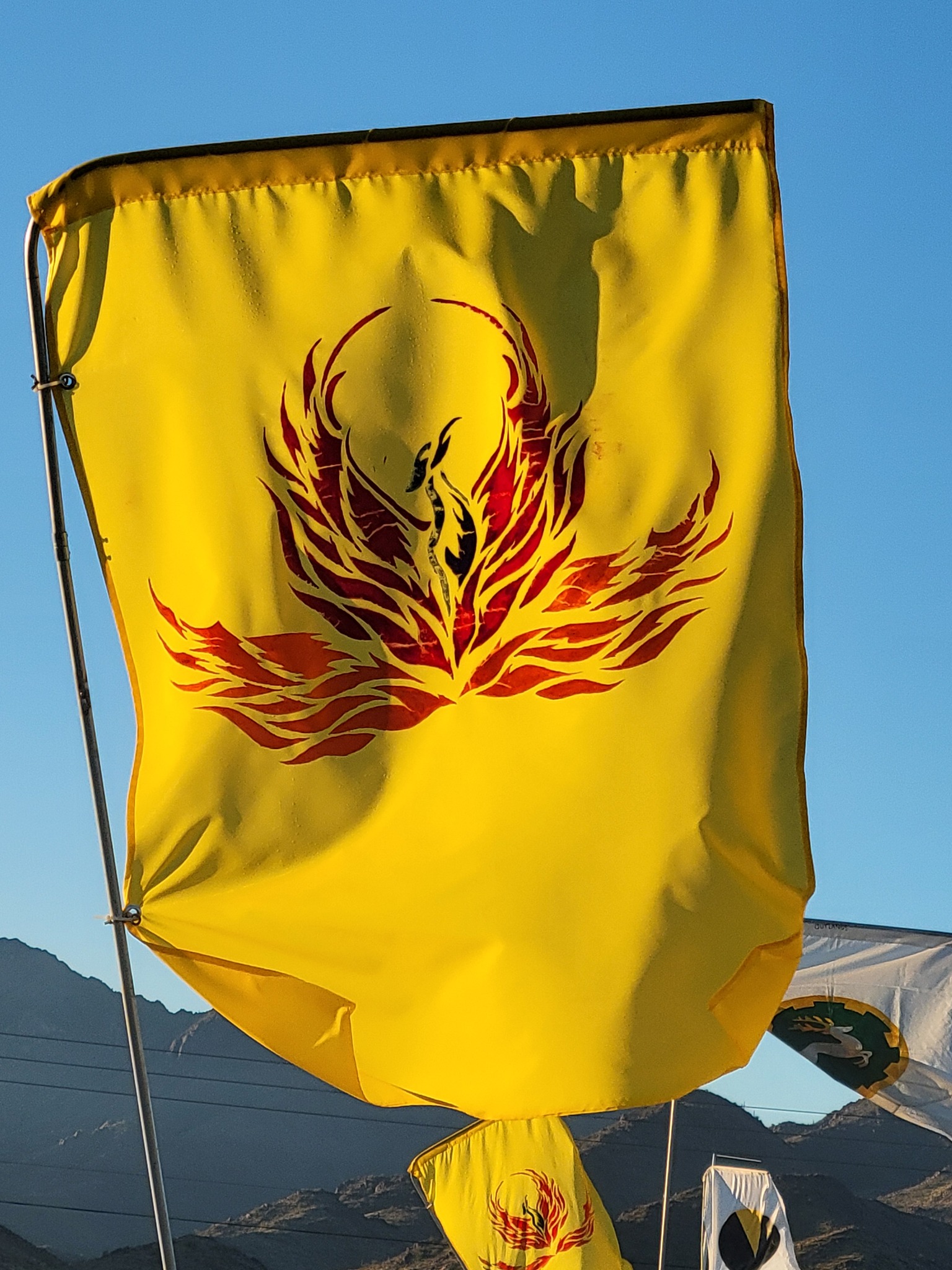 Photograph by Honor of SunDragon A yellow heraldic banner with a red phoenix rising from its ashes waving in the wind on the main road of the event. Other banners follow in the distance.